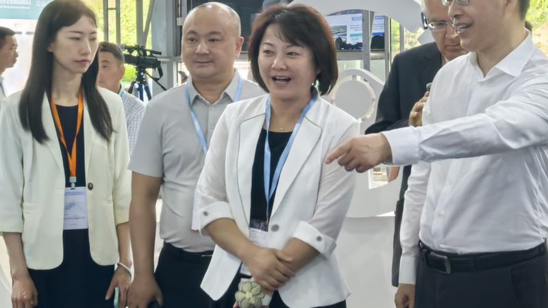 换减震器前先看懂这三点，价格才不白花